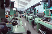 �����FAST R190���U���C